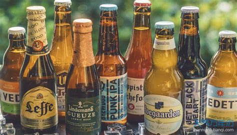 精酿啤酒品牌logo设计-苏州标志商标设计公司极地视觉