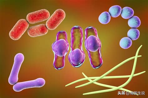 【生物课】细菌与病毒有什么区别？|病毒|细菌|寄生_新浪新闻