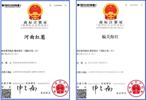 忻州2商标，注册成功！ --黄河新闻网_忻州频道