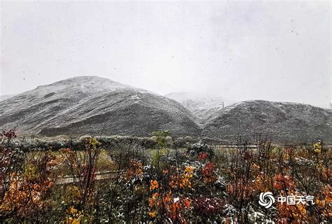 青海果洛州班玛县迎来今秋首场降雪 将降低森林草原火险等级-图片频道