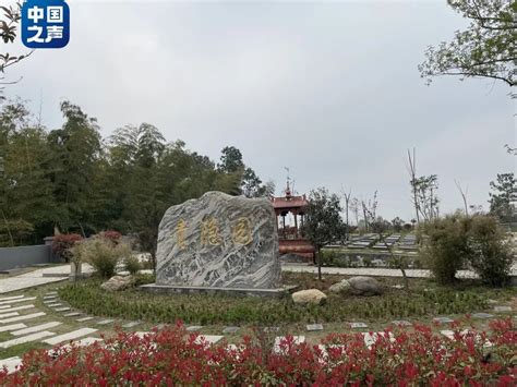 广西柳州城市公益性公墓投入使用！单人墓6800元 这些人可申请_社会_长沙社区通