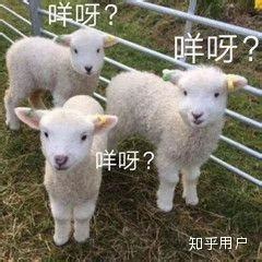 【名画赏析】12张关于羊的中国历代画作_黑龙江频道_凤凰网