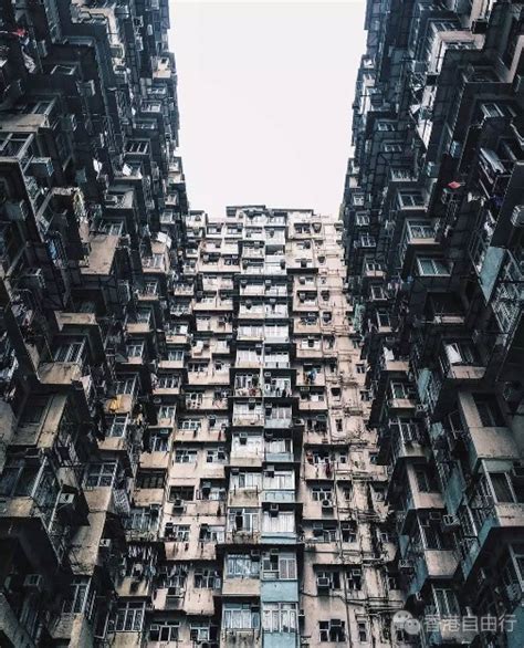 香港有20万底层人住在笼子里，这蛆虫般的生活真相，把我看沉默了