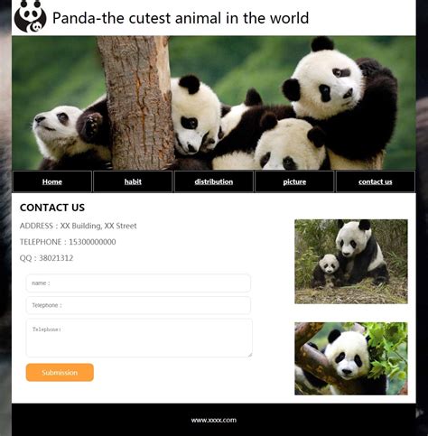 大熊猫图片免费下载_大熊猫素材_大熊猫模板-新图网
