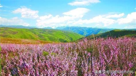 新疆塔城地区和布克赛尔蒙古自治县龙脊谷景区……