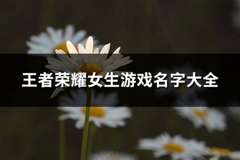 王者荣耀女生游戏名字大全(精选66个)-淘名吧网