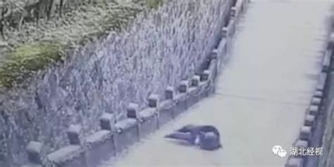 悲剧！安徽九华山风景区一游客玩手机不慎坠落身亡！(含视频)_手机新浪网