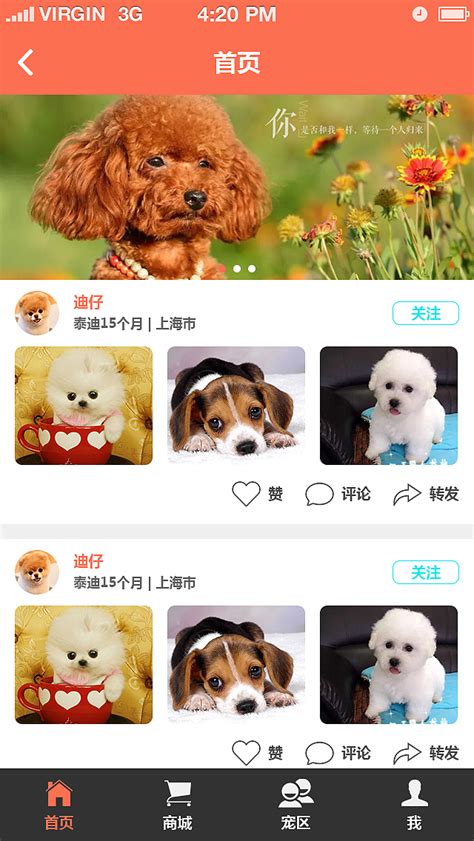 武汉宠物“留守”生意火爆 春节收费上涨一至五成_湖北频道_凤凰网