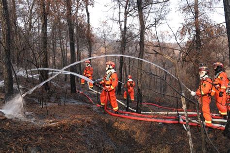 2019年中国森林火灾种类、发生原因、发生现状及森林防火对策分析[图]_智研咨询