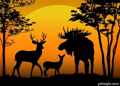 云和鹿的寓意,森林鹿的寓意和象征,送鹿的寓意是什么意思_大山谷图库