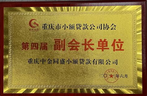 中金同盛小贷公司当选重庆市小额贷款公司协会第四届副会长单位 - 经营动态 - 湖北宏泰集团