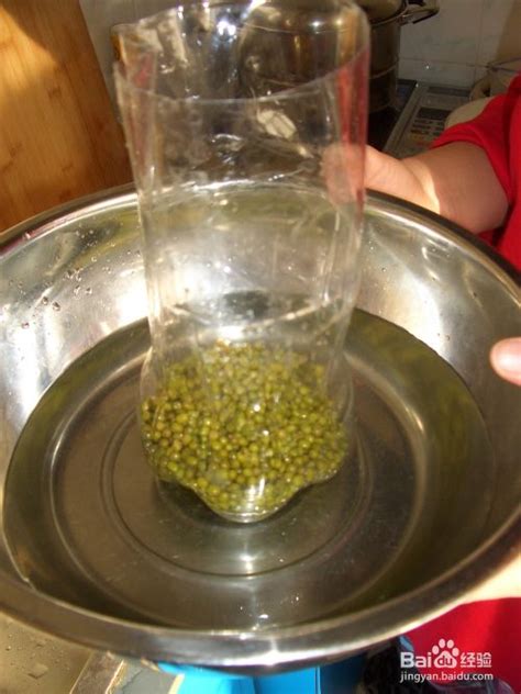 矿泉水瓶子生绿豆芽的做法窍门 | 半眠日记