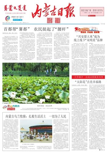 内蒙古日报数字报-“兴安盟大米”成为线上线下“双明星”品牌