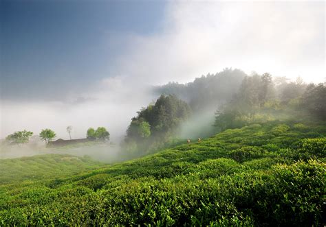平时只做绿茶的茶庄，如何保持淡季盈利-润元昌普洱茶网
