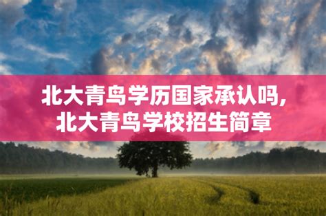 新闻资讯 - 北大青鸟官方网站