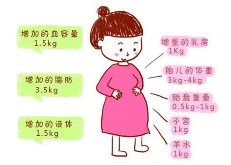 孕期怎么控制体重？这3点帮你控制体重-美好蕴育