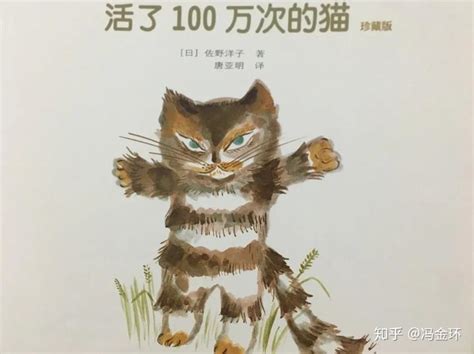 《活了一百万次的猫》|插画|商业插画|猫饭catfan - 原创作品 - 站酷 (ZCOOL)
