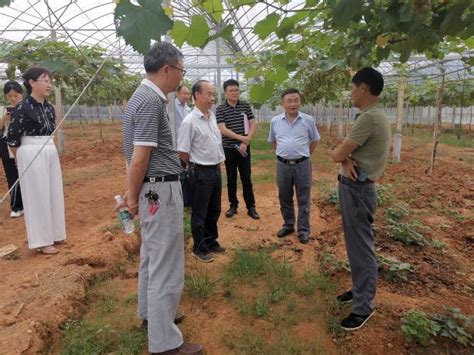 莫小平 农业技术推广研究员，瓜类育种、栽培技术研究和推广