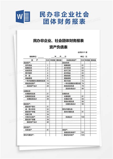民办非企业社会团体财务报表Word模板下载_熊猫办公