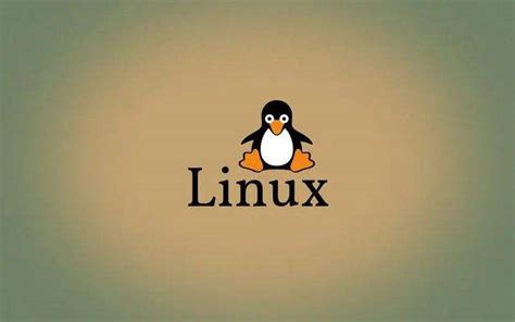 linux如何查看发行版本信息（查看 Linux 发行版名称和版本号的 8 种方法）-爱玩数码