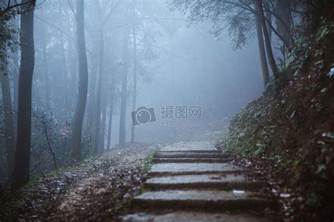美丽雾气森林景色高清图片下载-找素材