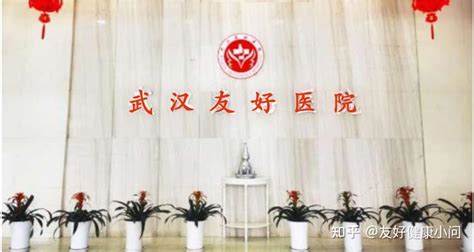 武汉妇产科排名前十的医院,武汉十大妇产科医院排行榜 | WE生活