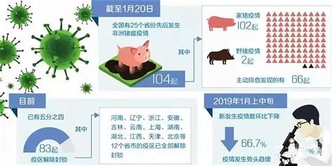 2021年有哪些养猪补贴政策？养猪补贴政策2021标准怎么申请 - 中国基因网