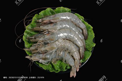 深圳有家活虾料理，这里的虾能做出20多道菜，可你还没去过？