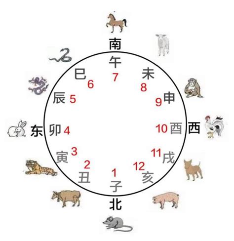 子丑寅卯辰巳午未申酉戌亥时间表，对应的北京时间和生肖 — 久久经验网