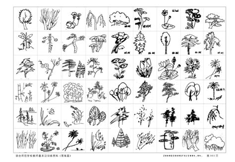cdr画植物简笔画” | 抖兔教育
