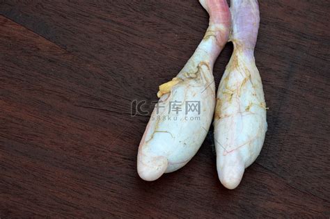牛睾丸图片