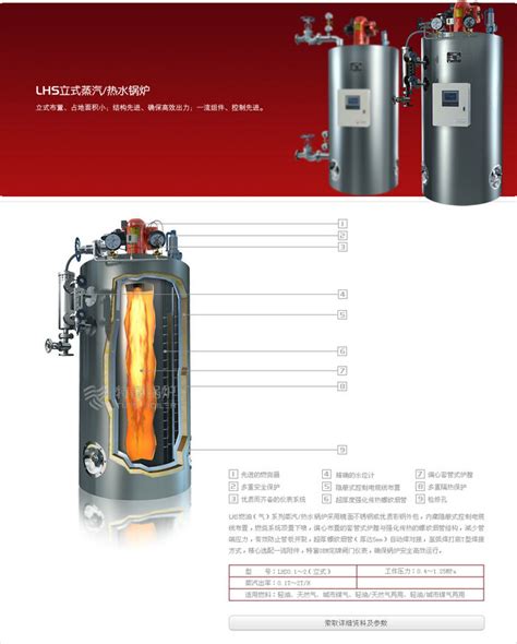 立式水管式蒸汽锅炉-上海韩斯锅炉有限公司