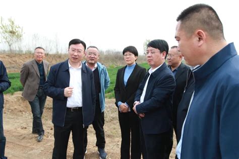 泰安市领导到宁阳县调研南四湖流域水生态环境保护工作-国际环保在线