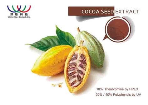 Theobroma Cocoa Polyphenol Extract , Lavado Cocoa Extract For Food Additive