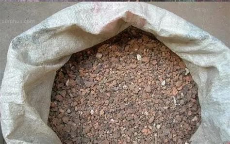 农村废弃的蜂窝煤渣，“零成本”制成多肉植物颗粒土，简单实用|煤渣|蜂窝煤|蜂窝_新浪新闻