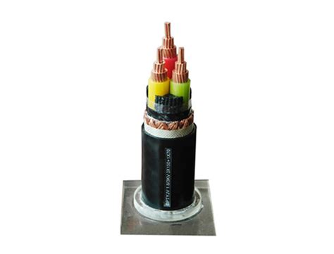 YJV22交联电力电缆YJV22-3x25+2x16电力电缆-食品机械设备网