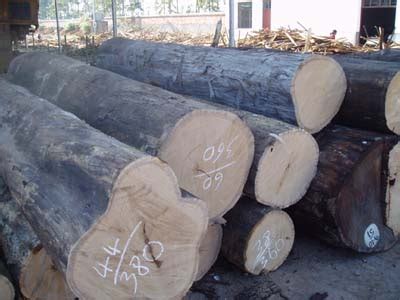 贵港港南区一大批木业项目即将竣工投产！-建材网