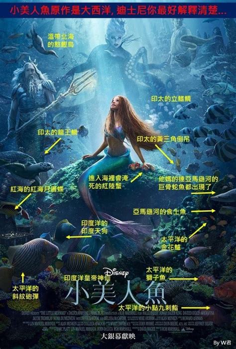 5月26日上映真人电影《小美人鱼》发布新预告片- 电影资讯_赢家娱乐