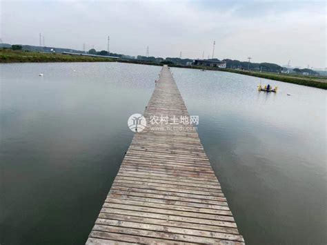 重庆市梁平县鱼塘转让出租出售离高速路口几公里 36000平米- 聚土网