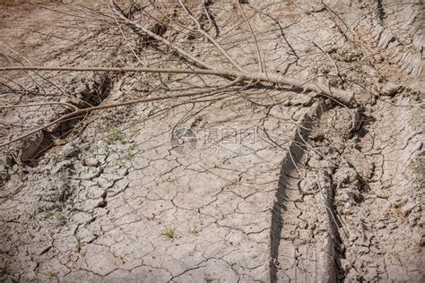 西北干涸的土地和绿色植物摄影图片图片-包图网