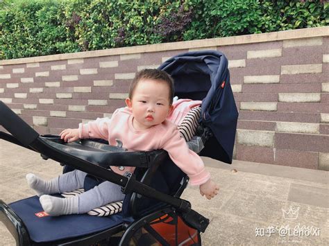熊黛林推婴儿车图片大全