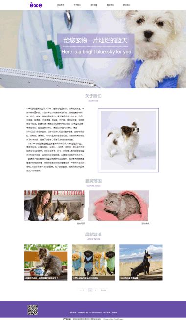 宠物美容/医疗网站模板-宠物医院网站模板-正版建站