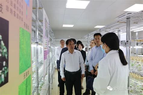 安阳比亚迪实业有限公司新能源汽车线束项目