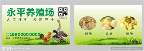 鸡鸭养殖场设计图__其他_广告设计_设计图库_昵图网nipic.com