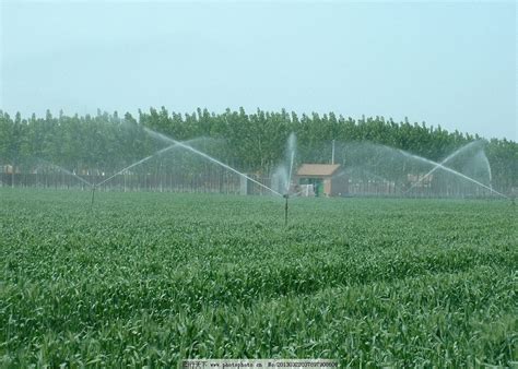 全国将建成10亿亩高标准农田，高效节水灌溉面积超4亿亩