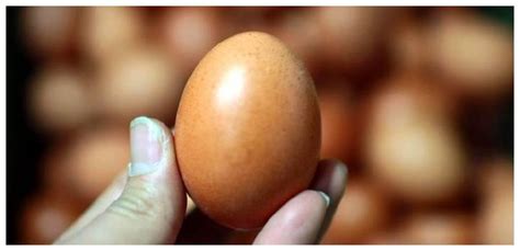 毛蛋为何叫喜蛋？吃喜蛋到底有没有营养？中国十大奇食之四