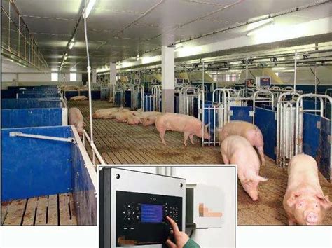 规模化猪场智能化饲养设备发展现状及成本效益 - 猪好多网