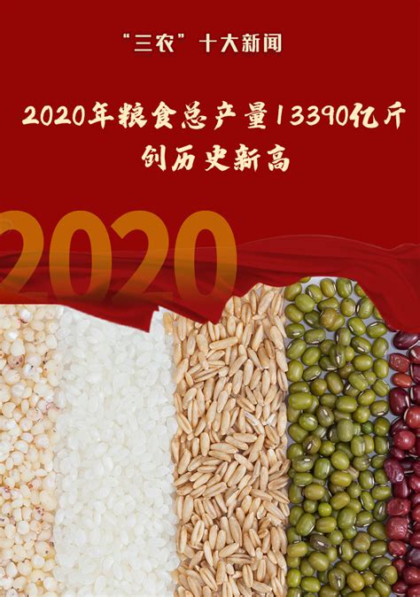 2020年“三农”十大新闻|乡村振兴|三农|农业农村_新浪新闻