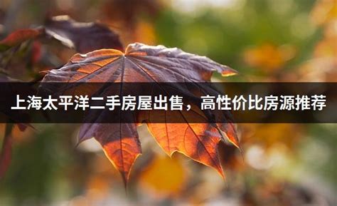 【上海太平洋房屋租房,上海太平洋房屋房屋出租信息】- 安居客