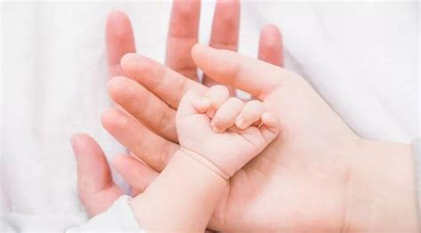 家庭,童,父亲人的快乐的父亲孩子互相指指点点快乐的父亲孩子的手指着手指高清图片下载-正版图片300413306-摄图网